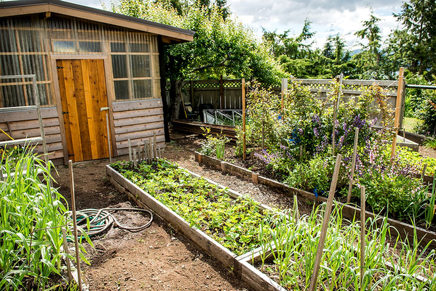 Cozy Vacation Rental with Views in Haida Gwaii, British Columbia