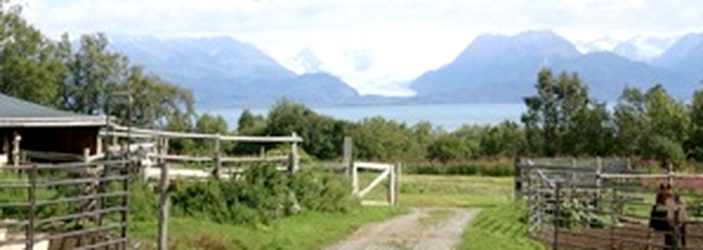 Seaside Farm pet friendly, Nature Lodges 41940, Homer, United States