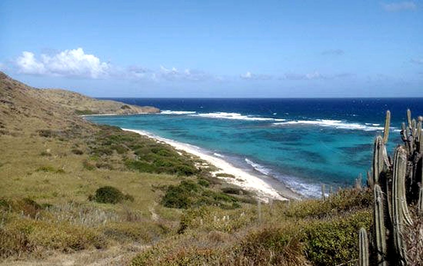 Eco-Bungalows in Caribbean Country Lodge, St. Croix, Virgin Islands