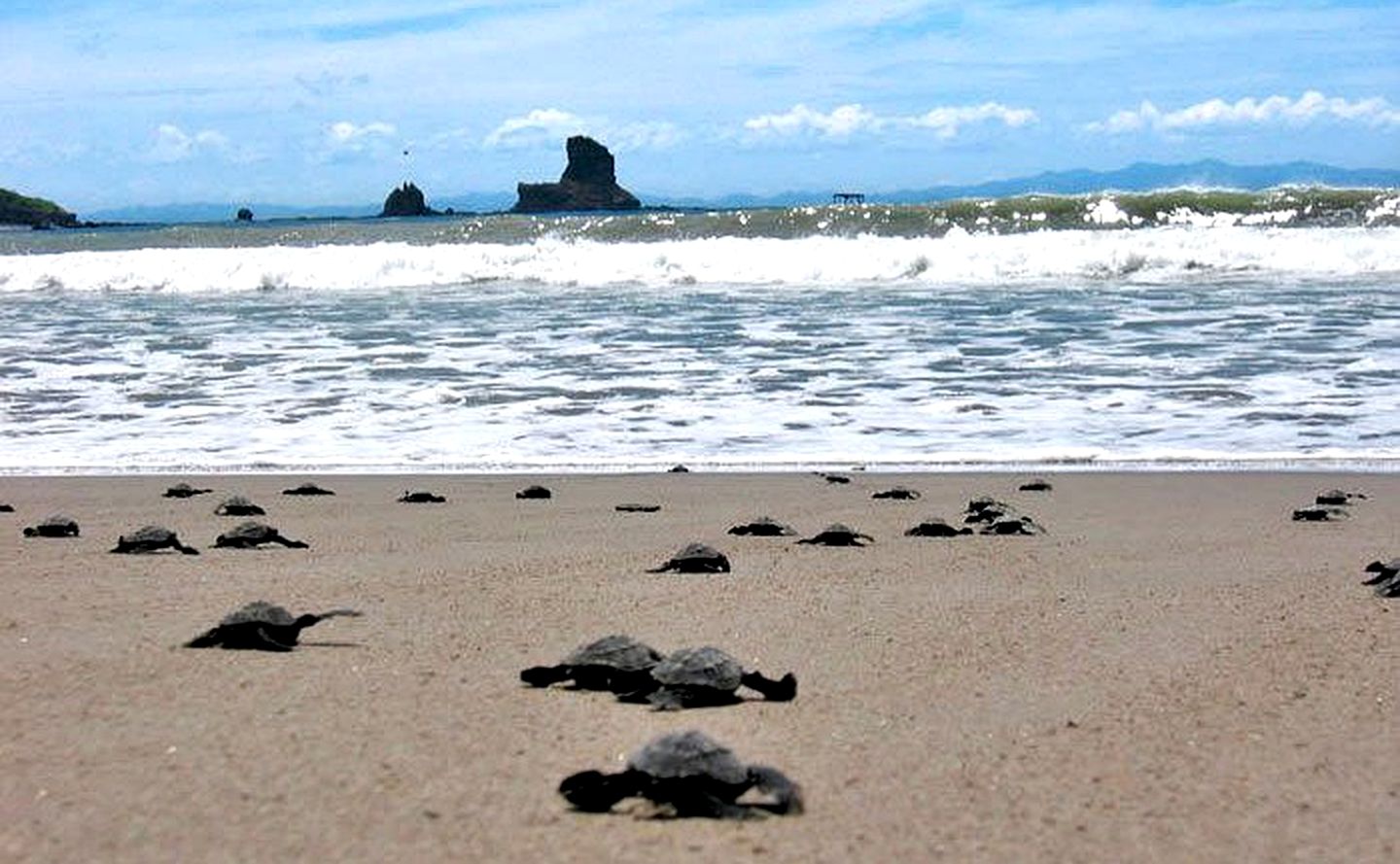 Eco-Bungalows Open to the Ocean, Playa Ocotal, Nicaragua