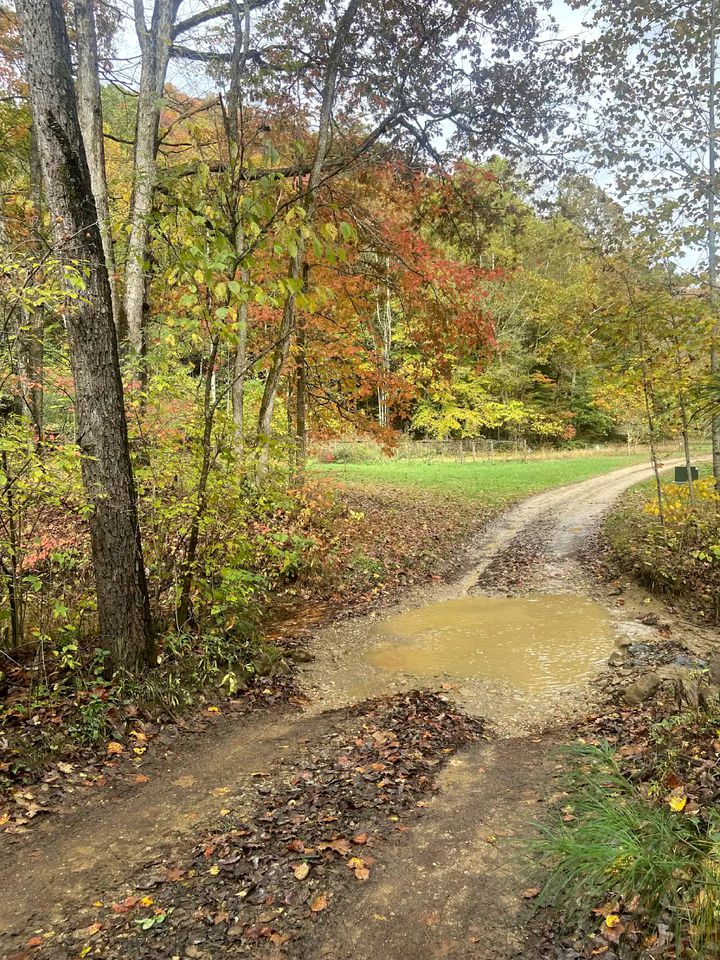 Eco-Chic Retreat in Kentucky, Perfect for Glamping in Style near Red River Gorge