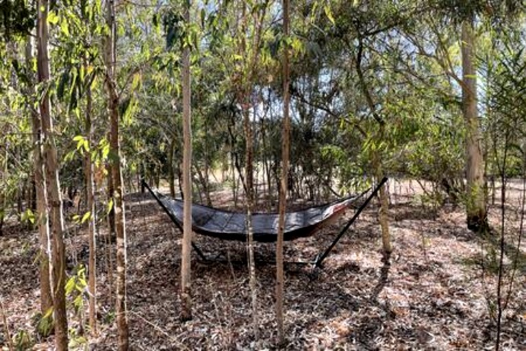 Vacation Rentals (Portugal, --, --)