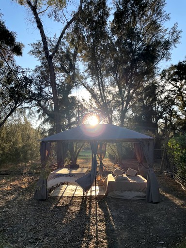 Vacation Rentals (Portugal, --, --)