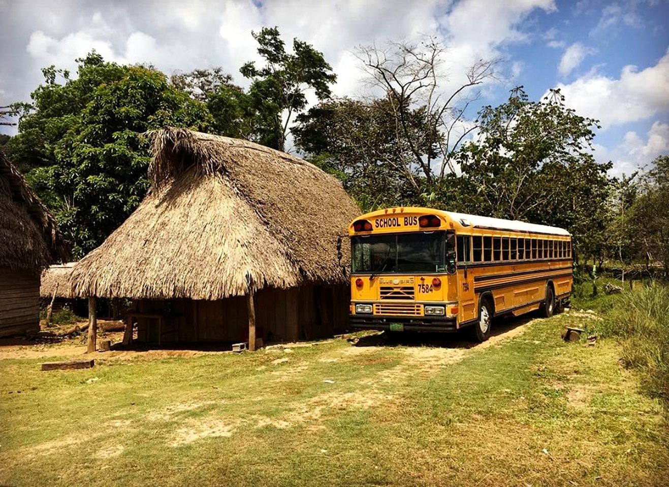 Eco-Friendly Glamping Cabanas in a Jungle Paradise, Belize