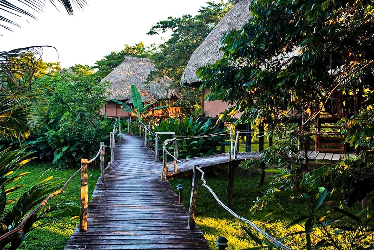 Eco-Friendly Glamping Cabanas in a Jungle Paradise, Belize