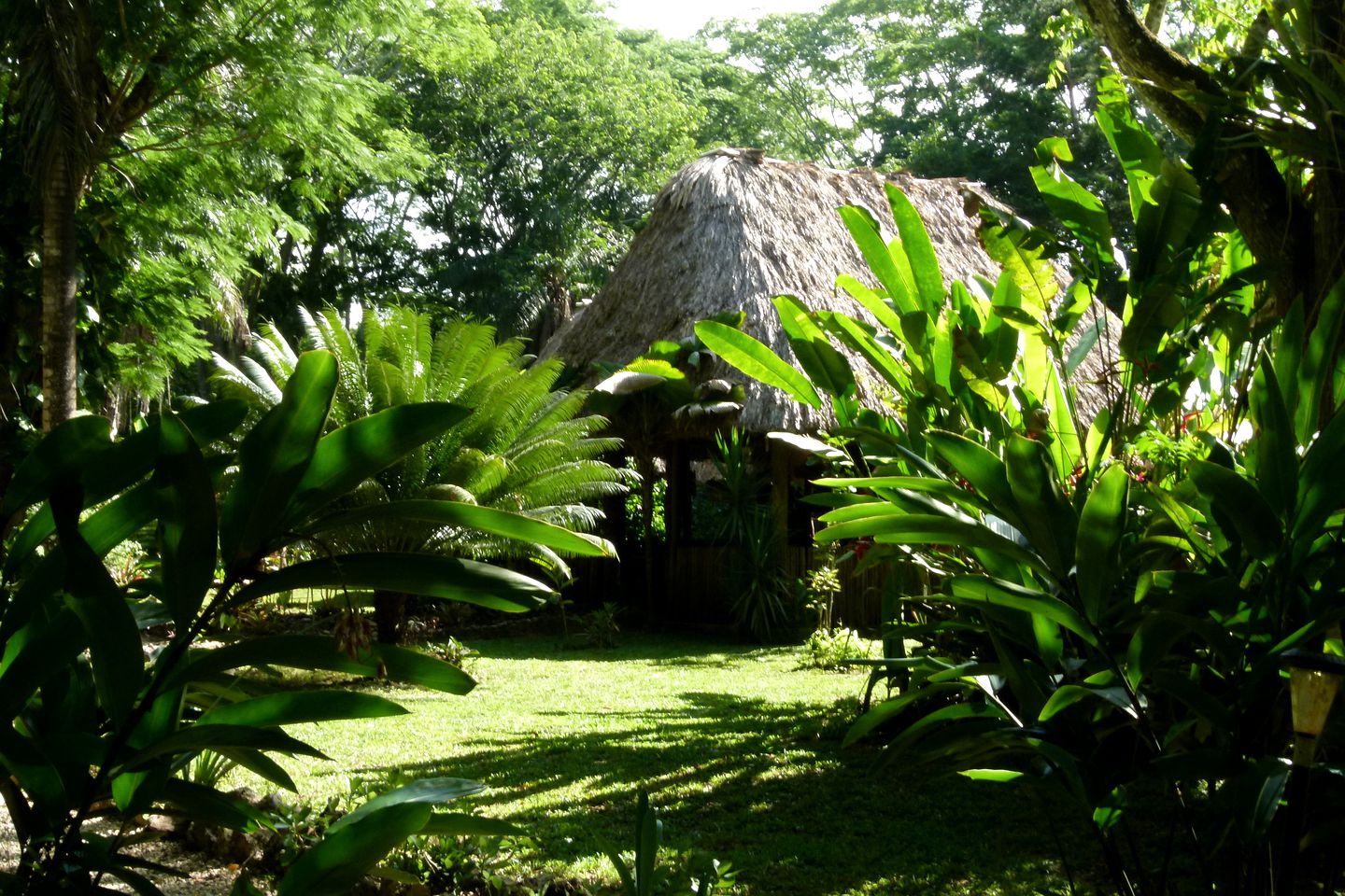 Eco-Friendly Cabin in the Middle of the Belize Jungle