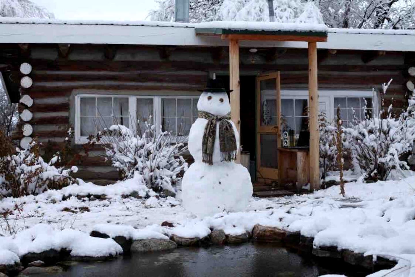 Log Casita Overlooking Pond and Waterfall near Taos, New Mexico