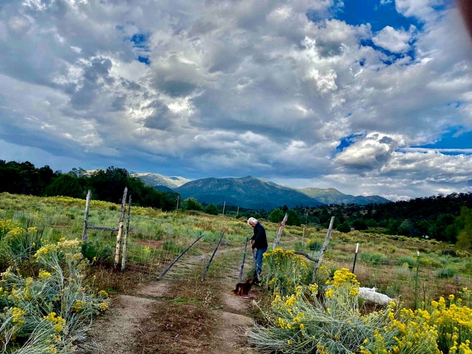 Cabins (United States of America, Taos Ski Valley, New Mexico)