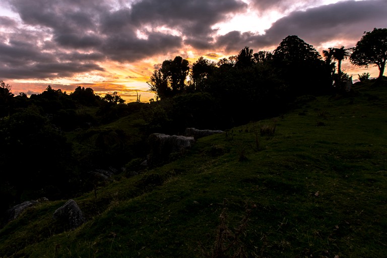 Cottages (Waitomo, North Island, New Zealand)