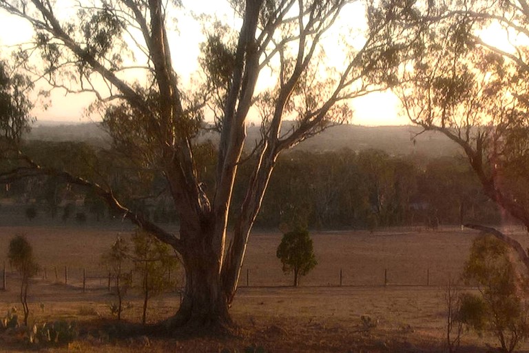 Cottages (Baringhup, Victoria, Australia)