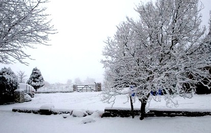 Pinewood Park - Photo 2