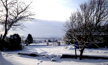 Pinewood Park photo 5