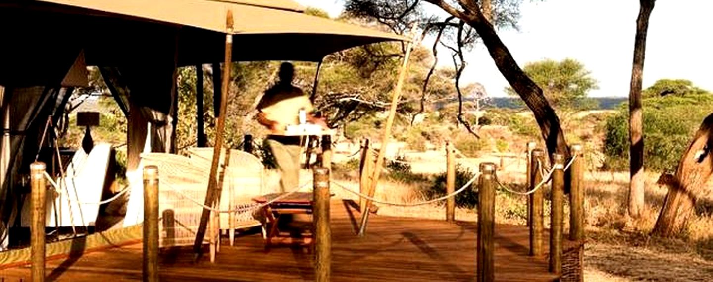 Eco-friendly, Deluxe Glamping Safari Camp in Tanzania's Tarangire National Park