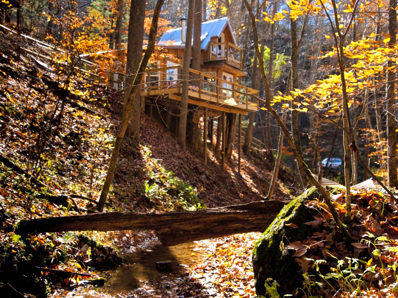 EcoFriendly Tree House Rental Asheville, North Carolina