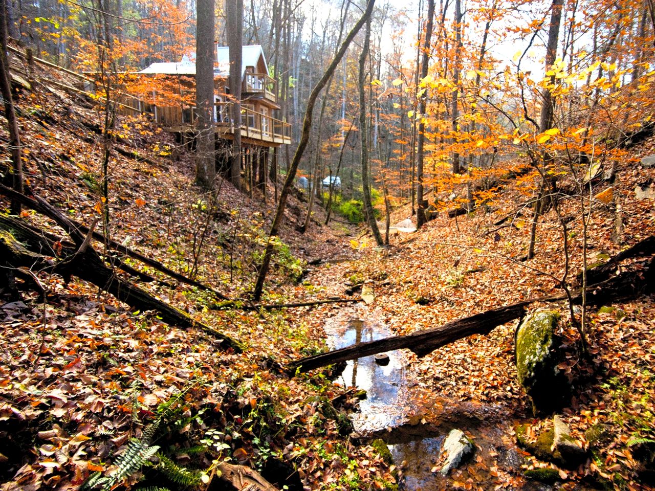 EcoFriendly Tree House Rental Asheville, North Carolina