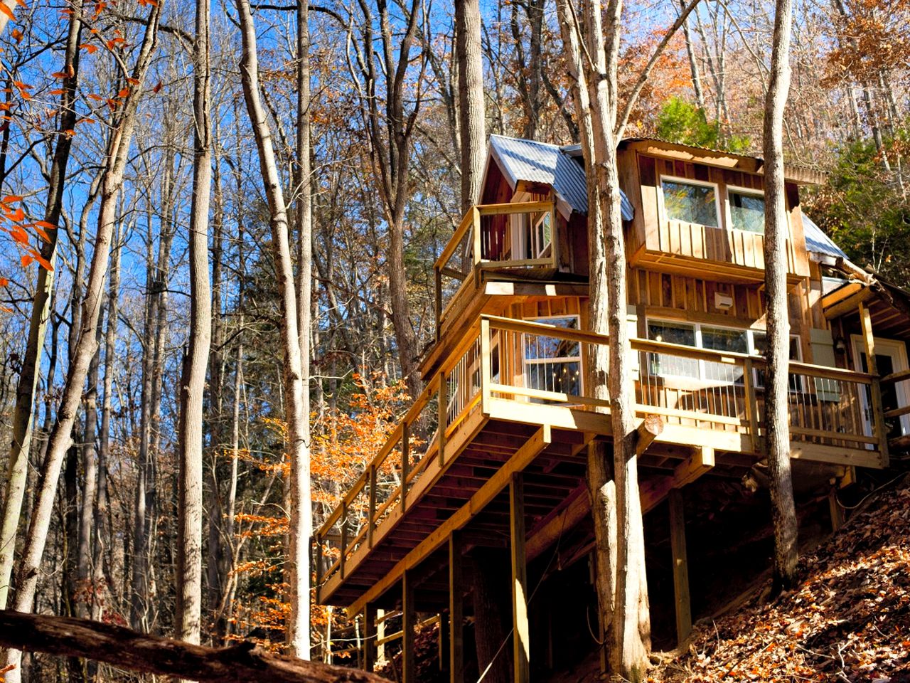 EcoFriendly Tree House Rental Asheville, North Carolina