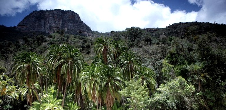 Huts (Nairobi, Nairobi, Kenya)