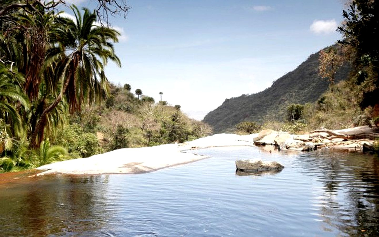 Eco-Friendly Lodge Nestled in the Forest Slopes of Mt. Nyiru, Kenya