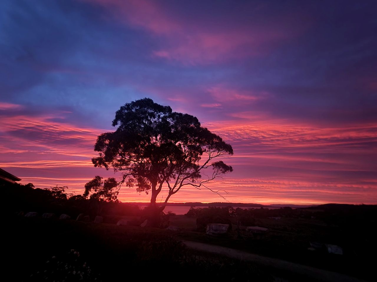 Eco-Friendly and Pet-Friendly Tiny House with Beautiful River Views in Tasmania, Australia