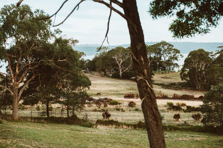 Tiny Houses (Australia, Opossum Bay, Tasmania)