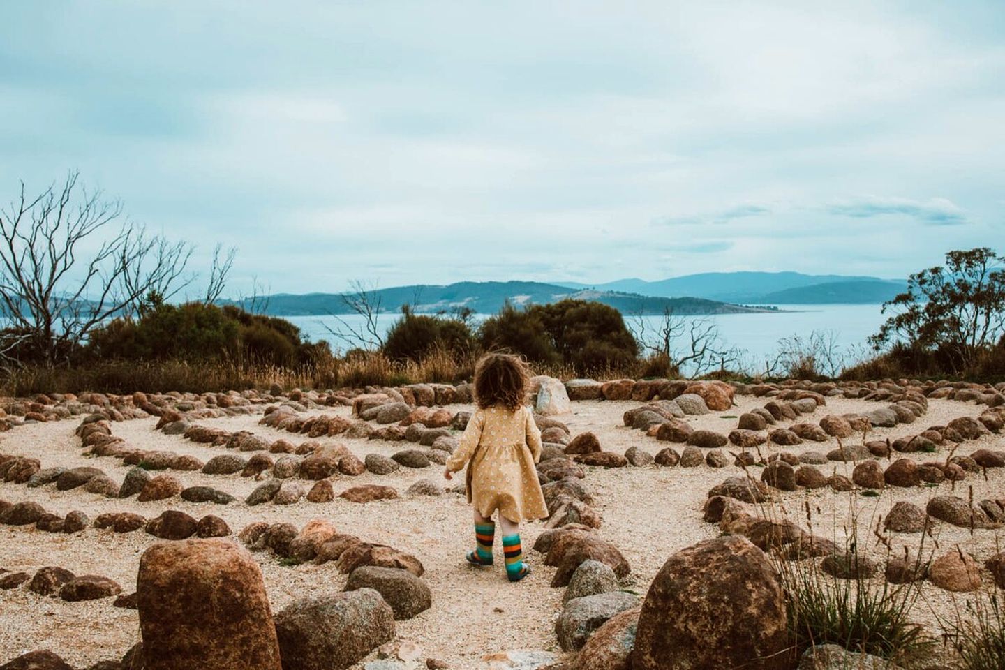 Eco-Friendly and Pet-Friendly Tiny House with Beautiful River Views in Tasmania, Australia