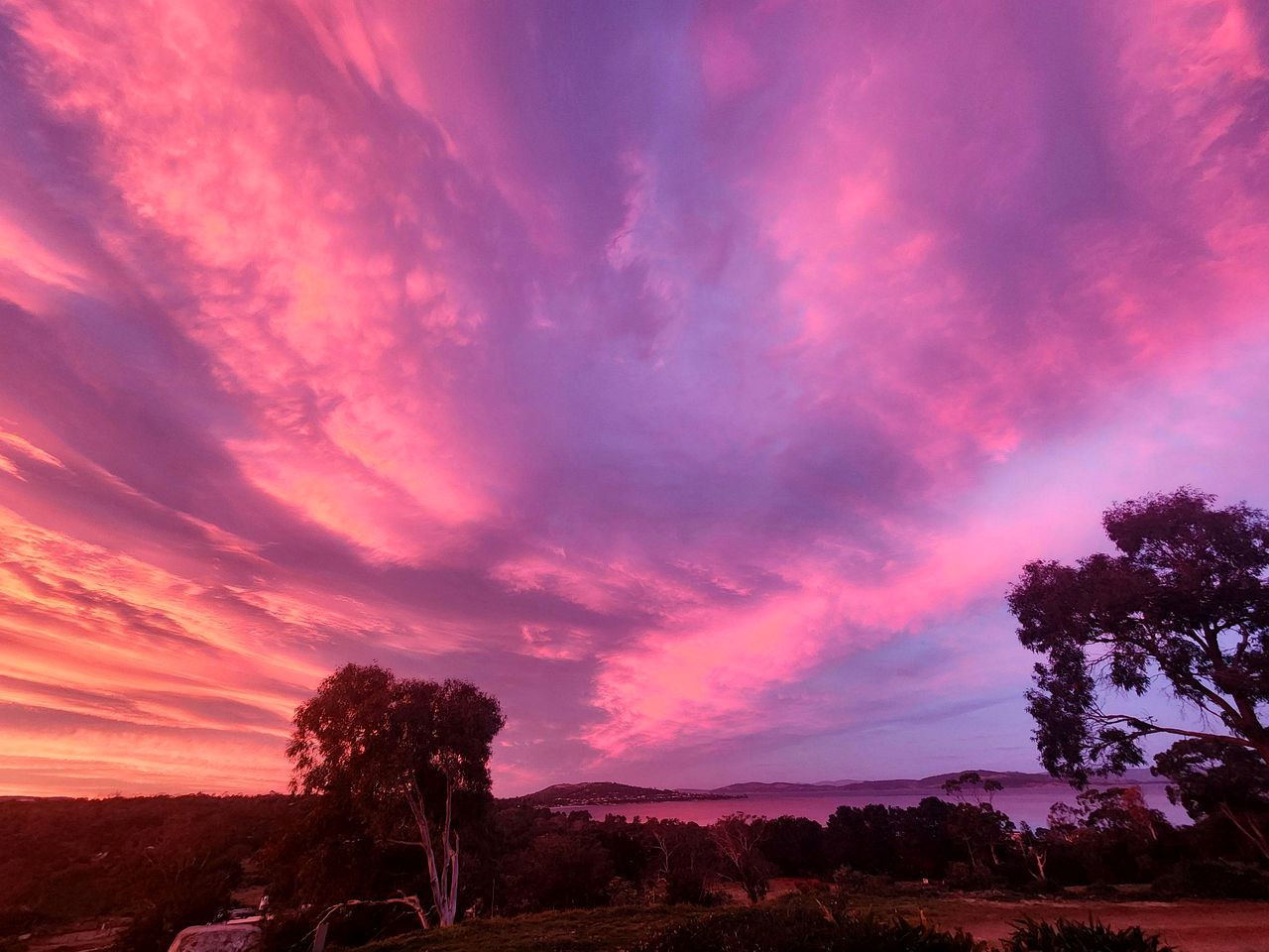 Eco-Friendly and Pet-Friendly Tiny House with Beautiful River Views in Tasmania, Australia