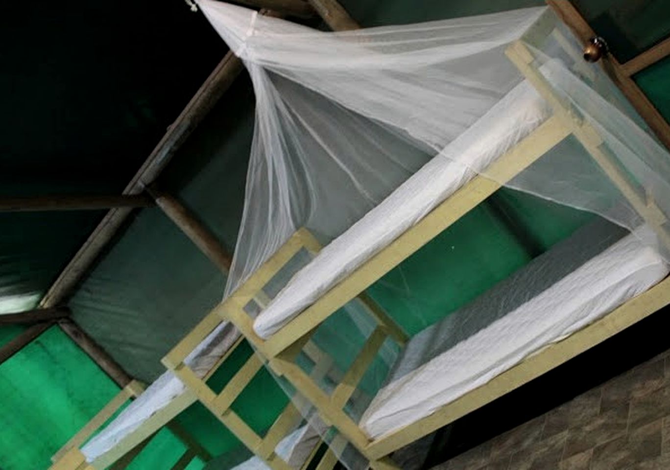 Eco-Friendly Rainforest Cabin, Australia