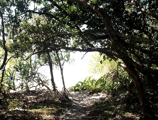 Tented Cabins (Cow Bay, Queensland, Australia)