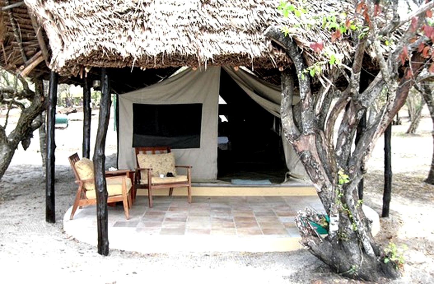 Eco-Friendly Tented Camp on Mafia Island, Bweni, Tanzania