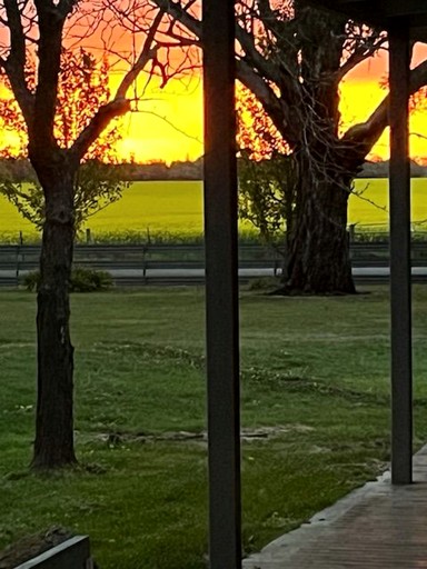 Tiny Houses (Australia, Wendouree, Victoria)