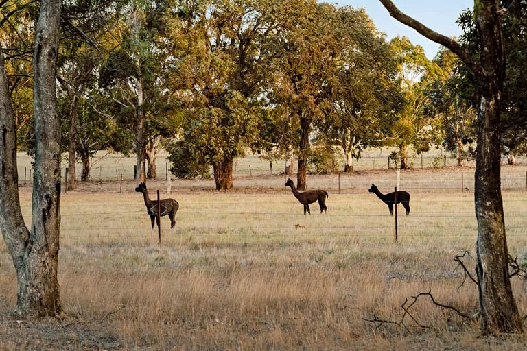 Tiny Houses (Australia, Wendouree, Victoria)