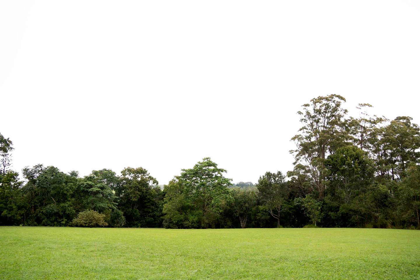 Eco-Friendly Tiny House Ideal for a Couples Retreat in Queensland