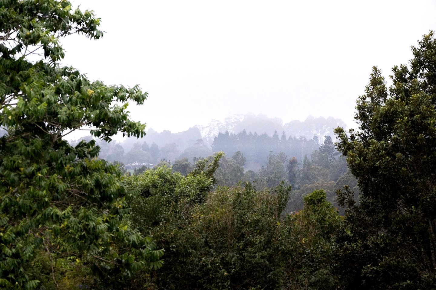 Eco-Friendly Tiny House Ideal for a Couples Retreat in Queensland
