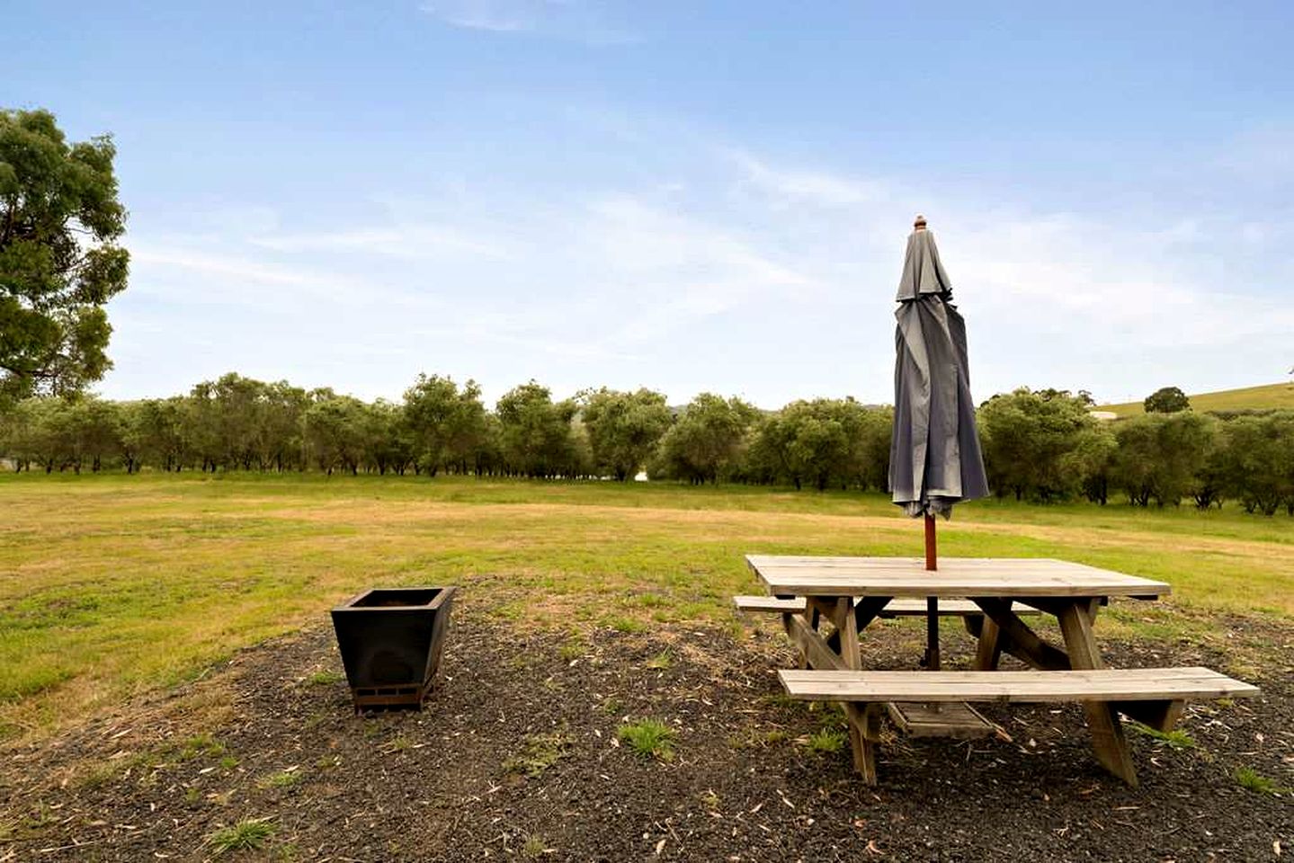 Eco-Friendly Tiny House in an Olive Grove on a Sustainable Organic Olive Farm for a Peaceful Outdoor Experience in Taggerty, Victoria