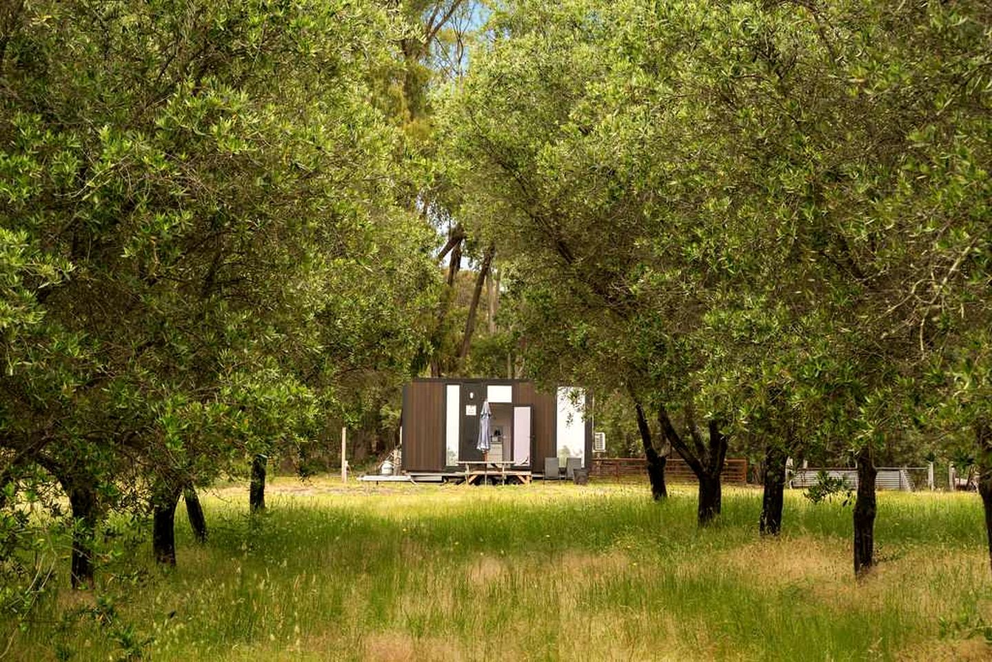 Eco-Friendly Tiny House in an Olive Grove on a Sustainable Organic Olive Farm for a Peaceful Outdoor Experience in Taggerty, Victoria