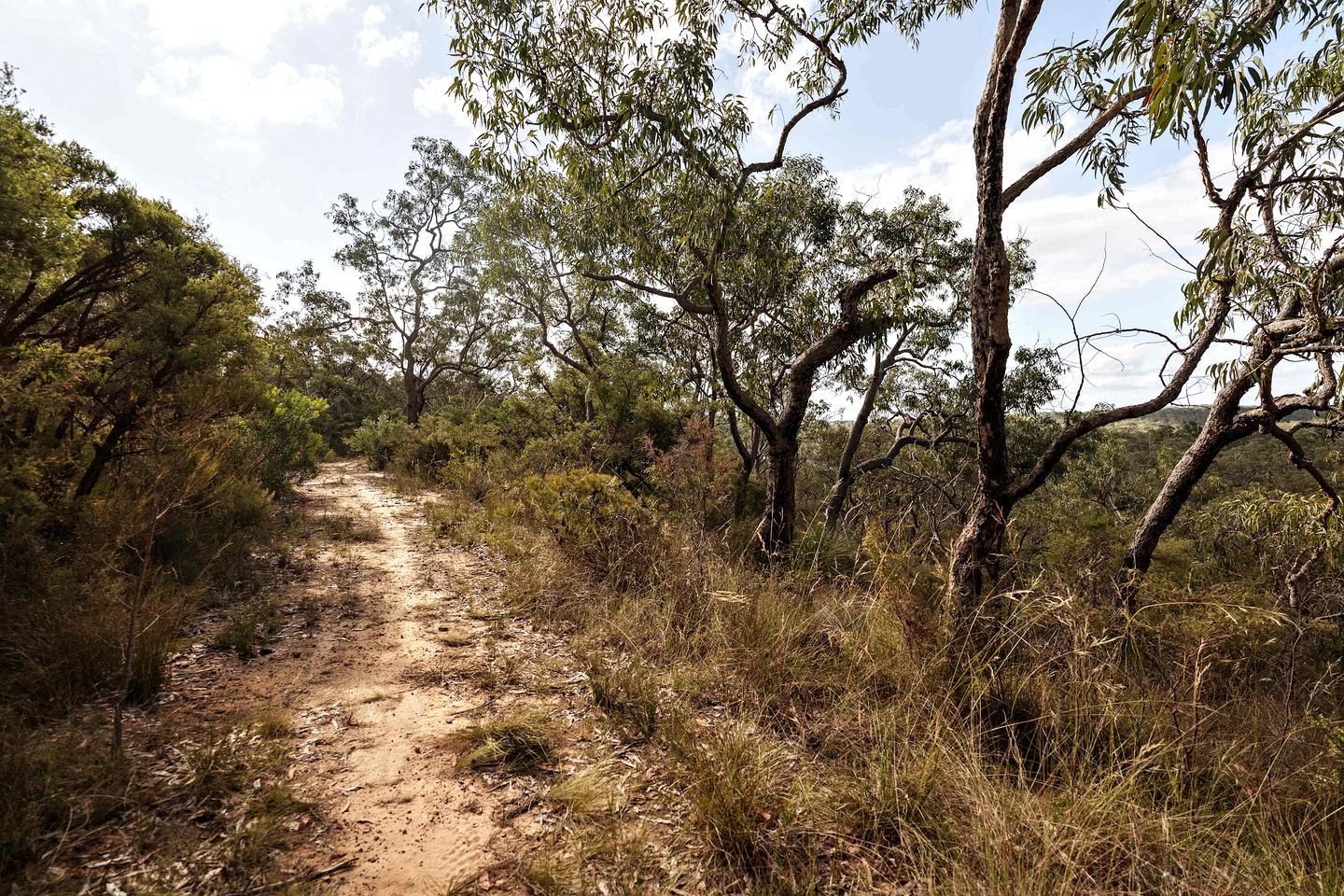 Eco-Friendly Tiny House Retreat with Scenic Trails near Maroota, New South Wales