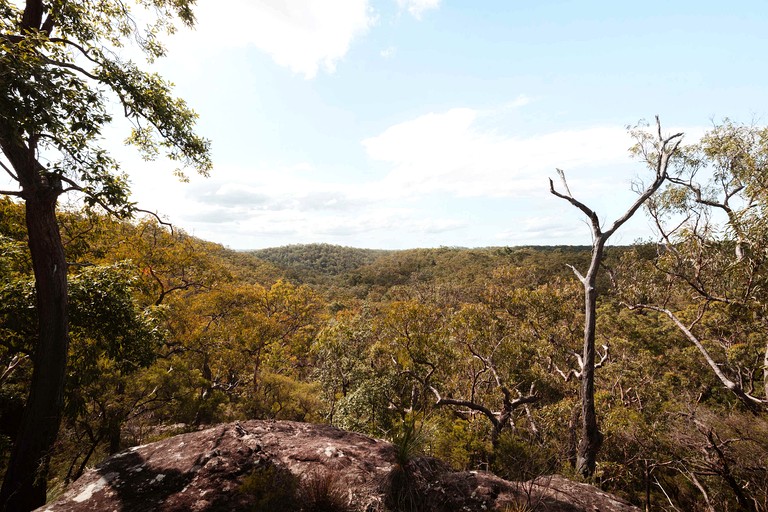 Tiny Houses (Australia, Canoelands, New South Wales)