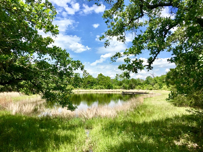 FlopHouze Beach Houze, Vacation Rentals, Round Top, United States of