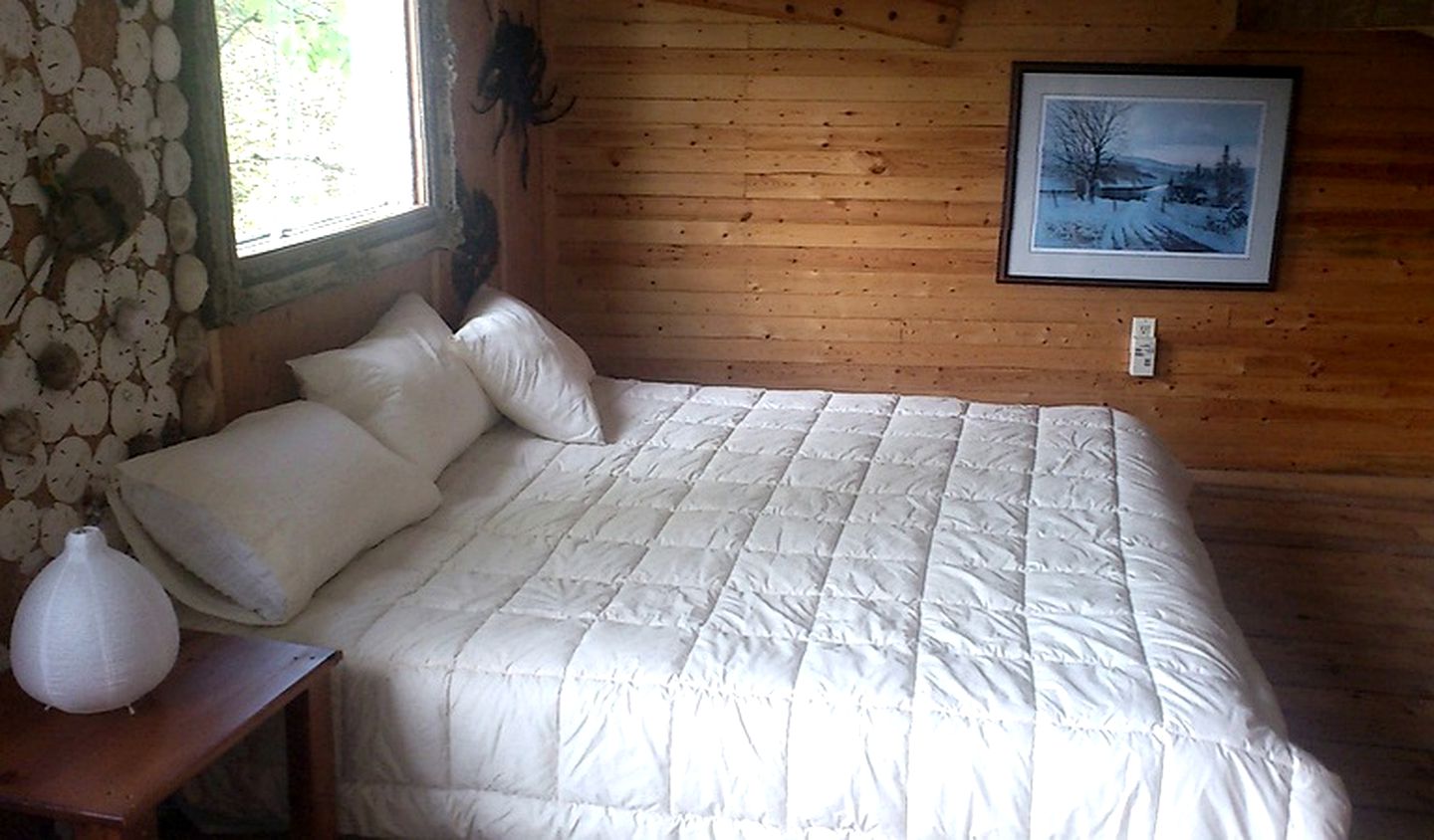 EcoFriendly Tree House Canada Glamping Tree House Ontario