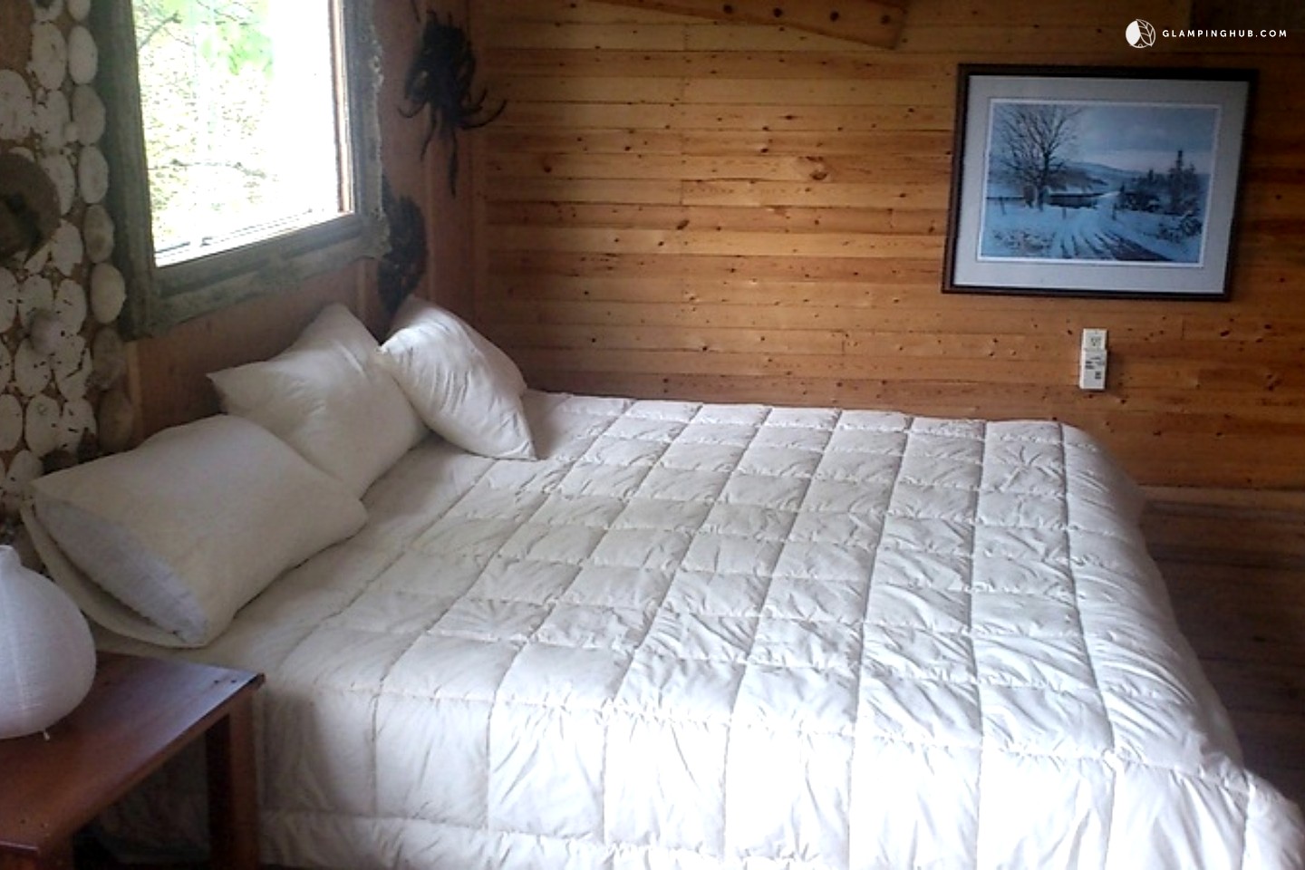 EcoFriendly Tree House Canada Glamping Tree House Ontario