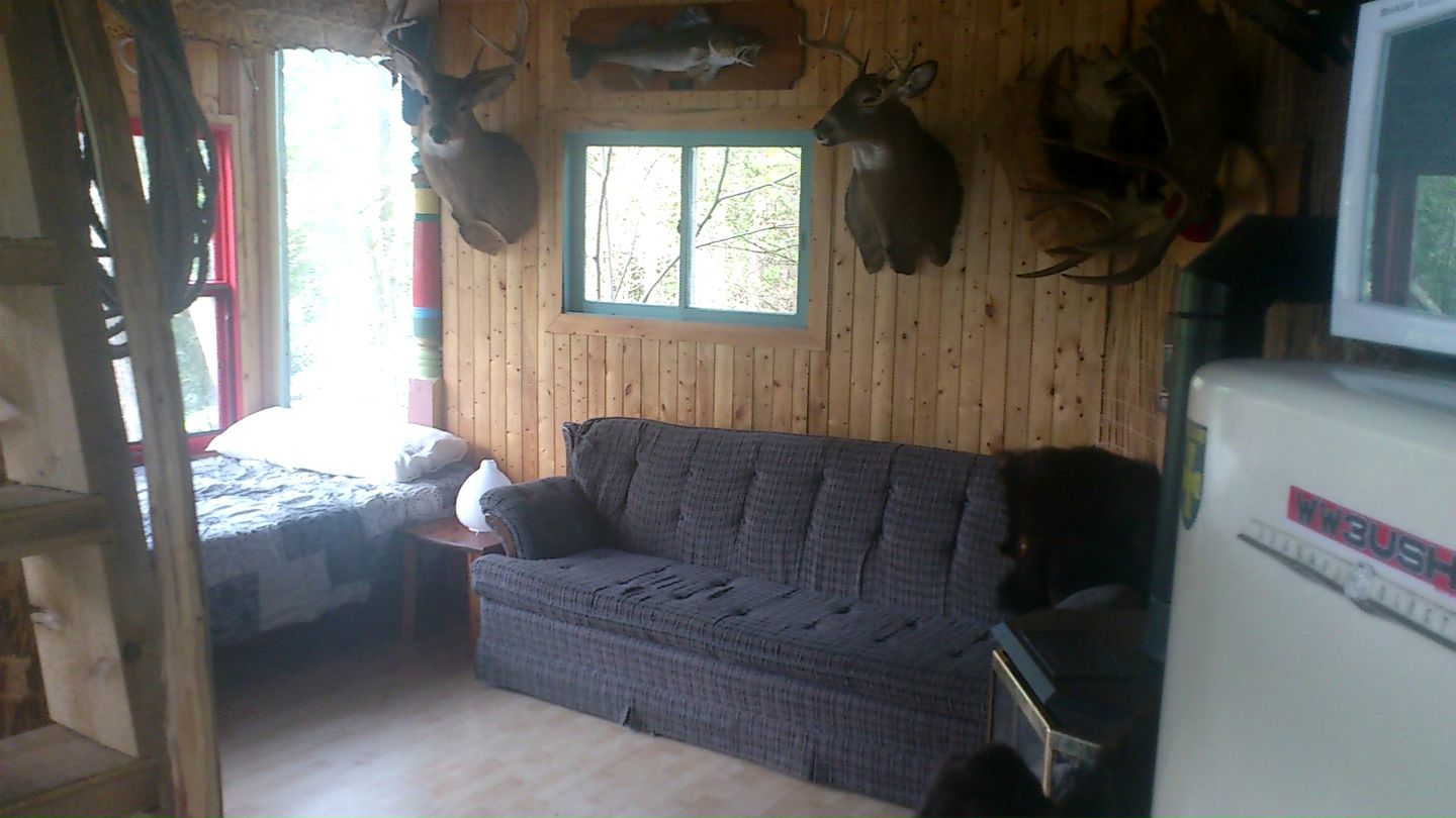 EcoFriendly Tree House Canada Glamping Tree House Ontario