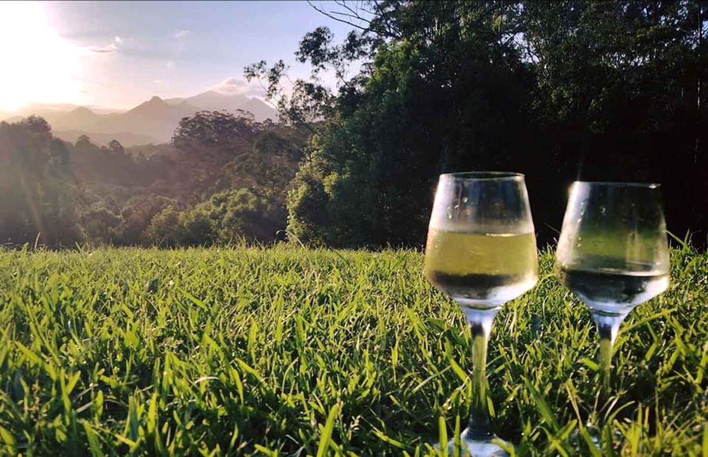 Elegant Tweed Accommodation Perfect for Glamping in New South Wales