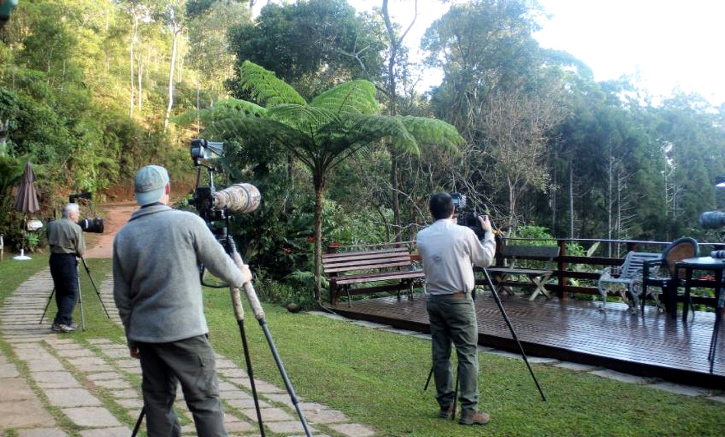 Spacious Rainforest Cabin Rental for Four in the Mountains of Rio de Janeiro, Brazil