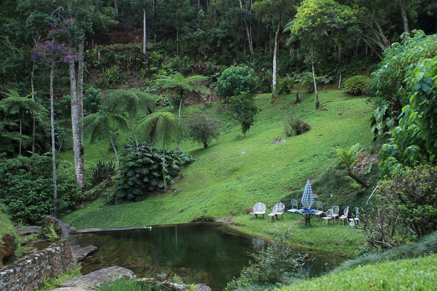 Spacious Rainforest Cabin Rental for Four in the Mountains of Rio de Janeiro, Brazil