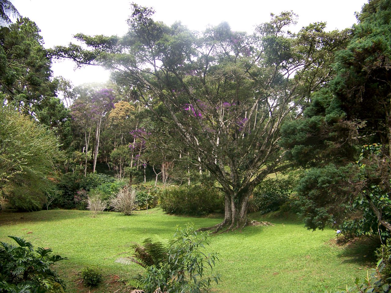 Spacious Rainforest Cabin Rental for Four in the Mountains of Rio de Janeiro, Brazil