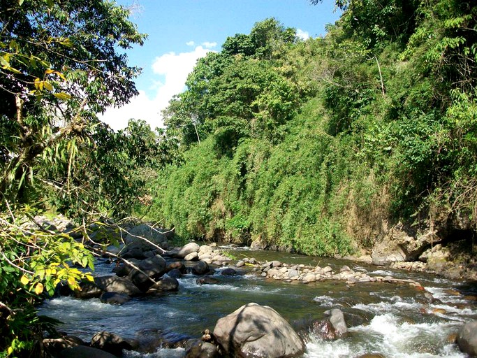 Huts (Salento, Quindío, Colombia)