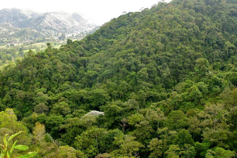 Pods (Salento, Quindío, Colombia)