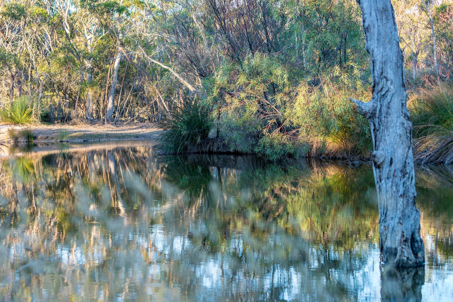 Luxury Earth Villa Kangaroo Island Holiday House