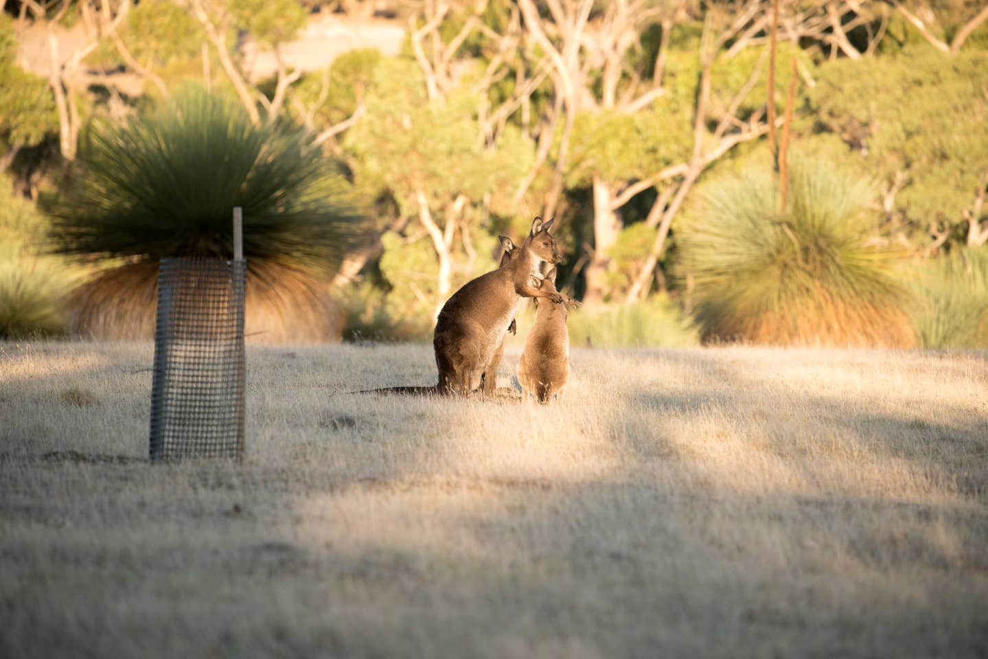 Luxury Earth Villa Kangaroo Island Holiday House