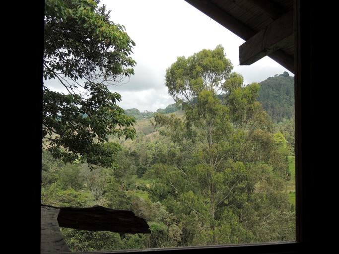 Cabins (Salento, Quindío, Colombia)